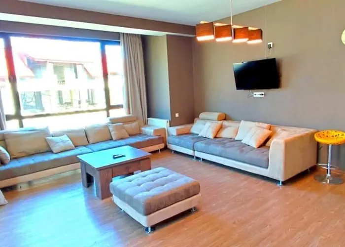 Cozy Flat In Bakuriani